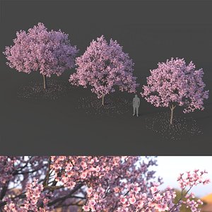 Sakura Tree Set