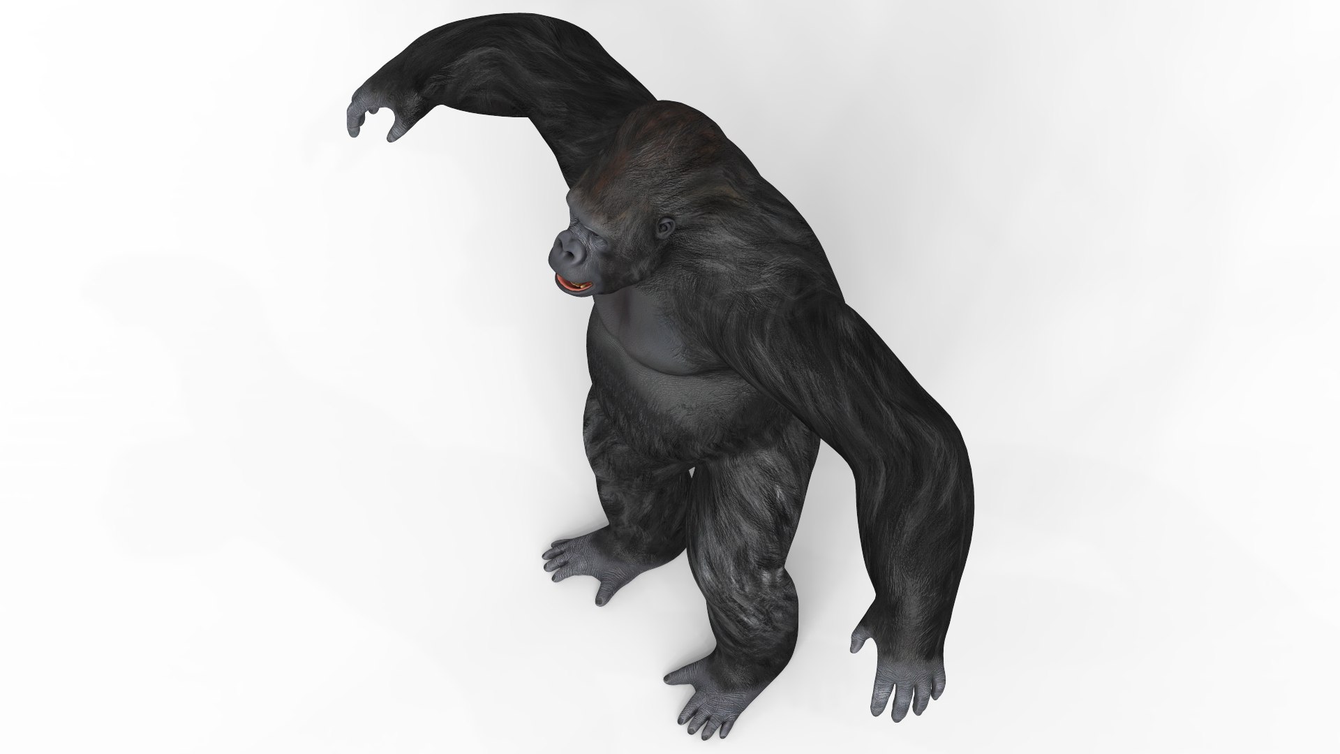 Gorilla With PBR Textures 3D https://p.turbosquid.com/ts-thumb/eV/KhlmSQ/CW/gorilla03/jpg/1643785146/1920x1080/fit_q87/6bdd9b97c04f3d04e5d99c332455ce03319843c1/gorilla03.jpg