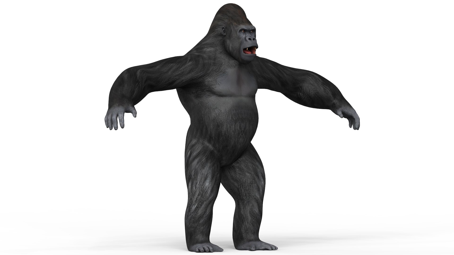 Gorilla With PBR Textures 3D - TurboSquid 1848520