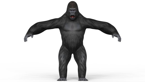 Gorilla Blender Models for Download | TurboSquid