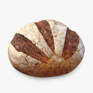 3D No-Knead Artisan Bread model