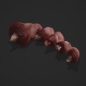 Severed Toes Horror Prop 3D model