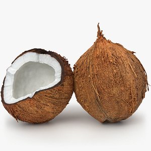 Open Coconut and Whole Husk 3D model