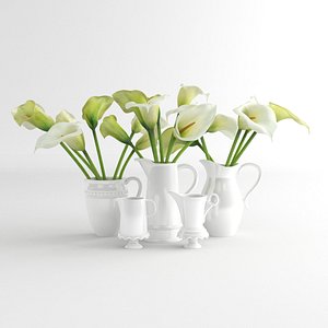 3d calla lily flower