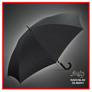 umbrella rain 3d model
