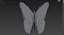 Motyl