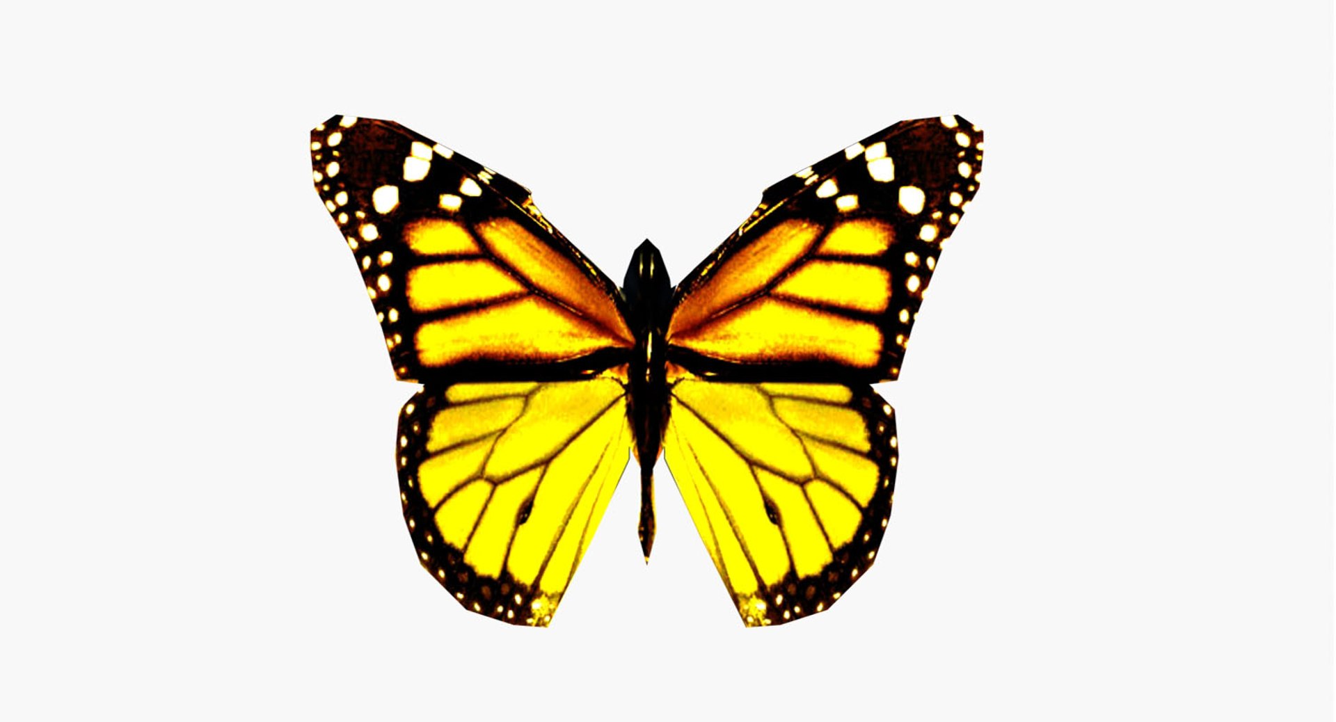 butterfly 3ds https://p.turbosquid.com/ts-thumb/eW/8cvIOo/PHkpg0dk/shot1/jpg/1459316958/1920x1080/fit_q87/be86bfbe9de677da25d14405989625b89cbc980a/shot1.jpg