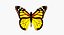Motyl