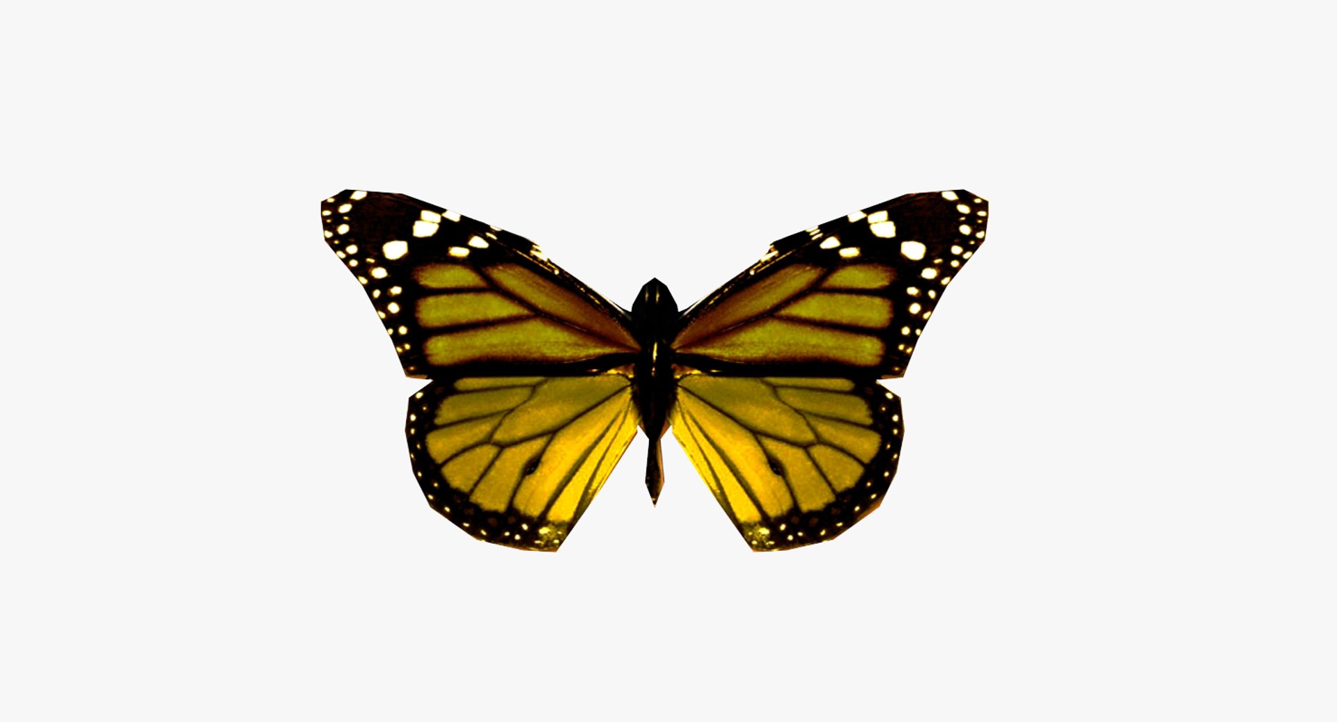 butterfly 3ds https://p.turbosquid.com/ts-thumb/eW/8cvIOo/UgwF5Wbr/signatureimage/png/1459316958/1920x1080/fit_q87/d2181aaa68db862804ed72554fc6a0627c6bdd92/signatureimage.jpg