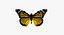 Motyl