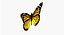 Motyl