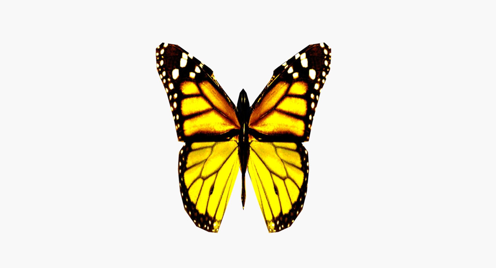 butterfly 3ds https://p.turbosquid.com/ts-thumb/eW/8cvIOo/cpCwY1K9/shot2/jpg/1459316889/1920x1080/fit_q87/b4670d3afac49157c4045758a3918abd9906be64/shot2.jpg