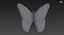Motyl