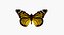 Motyl