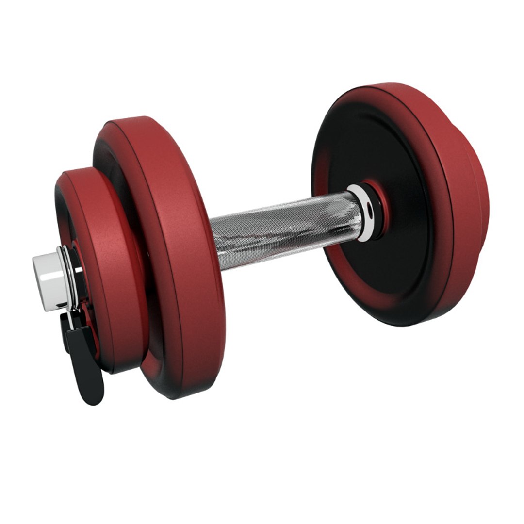 dumbbell bar weights 3d model https://p.turbosquid.com/ts-thumb/eW/DK9nZq/8GHW19ZR/render01/jpg/1305113548/1920x1080/fit_q87/1ce00b215dade6e91d61509b0552ebdd7143f527/render01.jpg