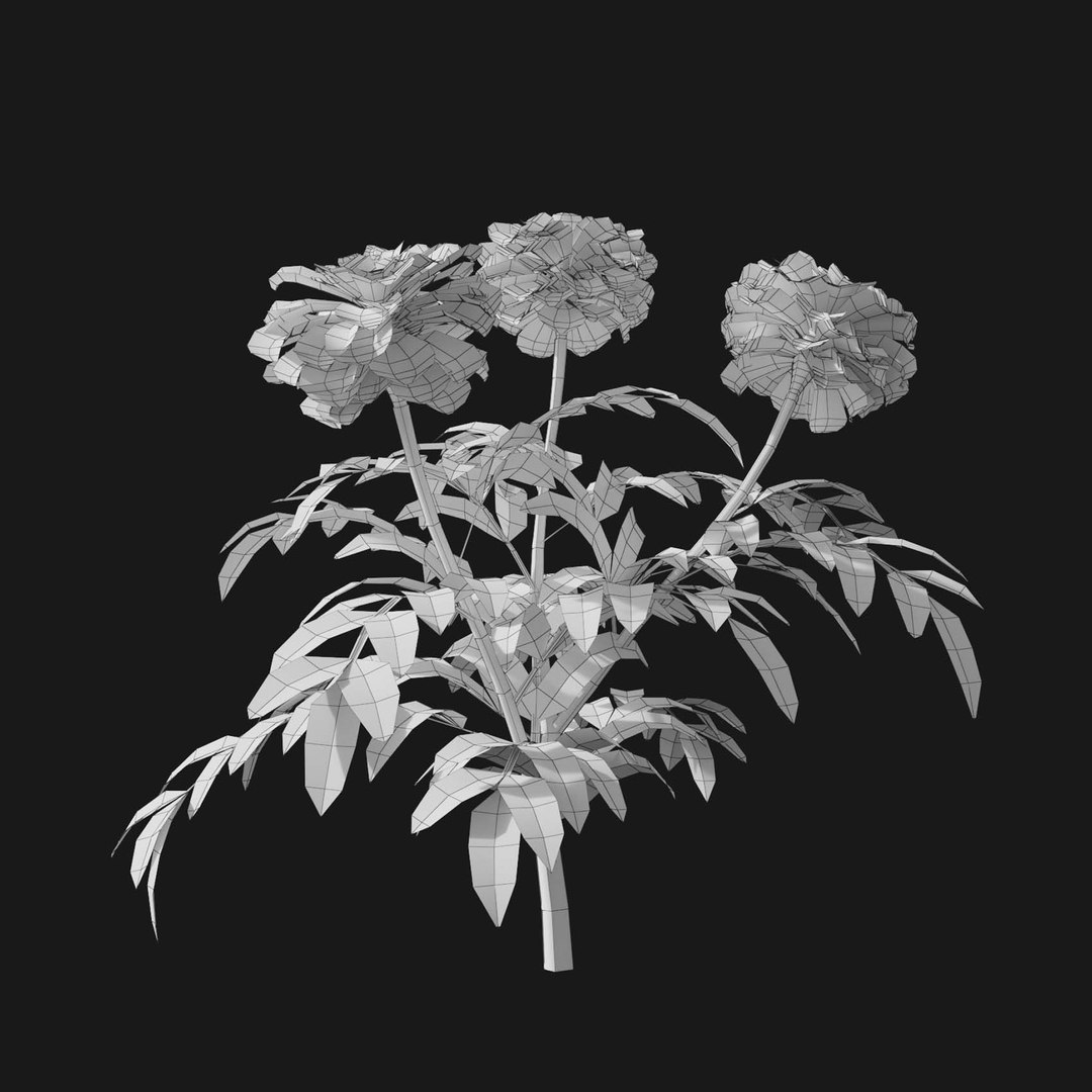 3D model VP COMPLETE https://p.turbosquid.com/ts-thumb/eW/KZVBSd/08/realflowerswire/jpg/1695581645/1920x1080/fit_q87/25cc42759051cd750f7db669cda48b5e13092a54/realflowerswire.jpg