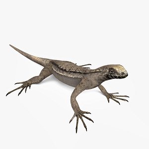 Corredor de Atacama model