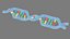 Struttura del DNA v4
