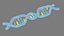 Struttura del DNA v4