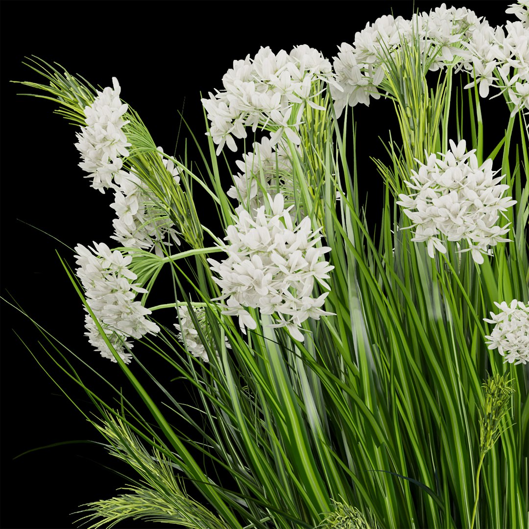 Collection plant vol 138 3D model https://p.turbosquid.com/ts-thumb/eW/iC8KVv/dU/4/jpg/1649521350/1920x1080/fit_q87/376c367d99e2e11c1fe8b1f23f0525cb0f3b71d2/4.jpg