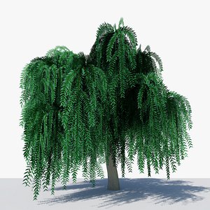 Weeping Willow v4