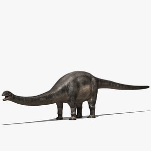 Sauropod
