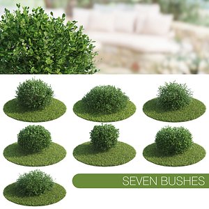 seven bush max