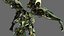 Sci-Fi robot  fighter kshatriya01 3D model