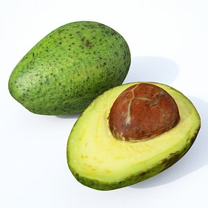 avocado fruit model
