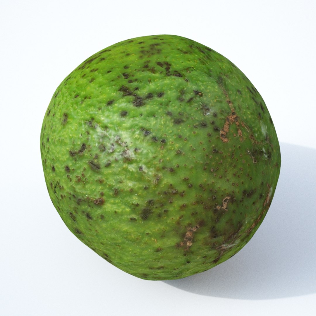avocado fruit model https://p.turbosquid.com/ts-thumb/eX/4UOxHl/EieEE5NJ/avocado_green_th03/jpg/1568331989/1920x1080/fit_q87/37c87274bcb6817815a27750b08b25375725c1da/avocado_green_th03.jpg