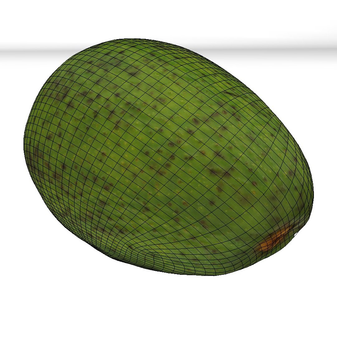 avocado fruit model https://p.turbosquid.com/ts-thumb/eX/4UOxHl/olv9Xm37/avow/jpg/1568331990/1920x1080/fit_q87/d7c103b261ece037398c9d05e6c241fdee536263/avow.jpg