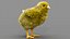 Poulet