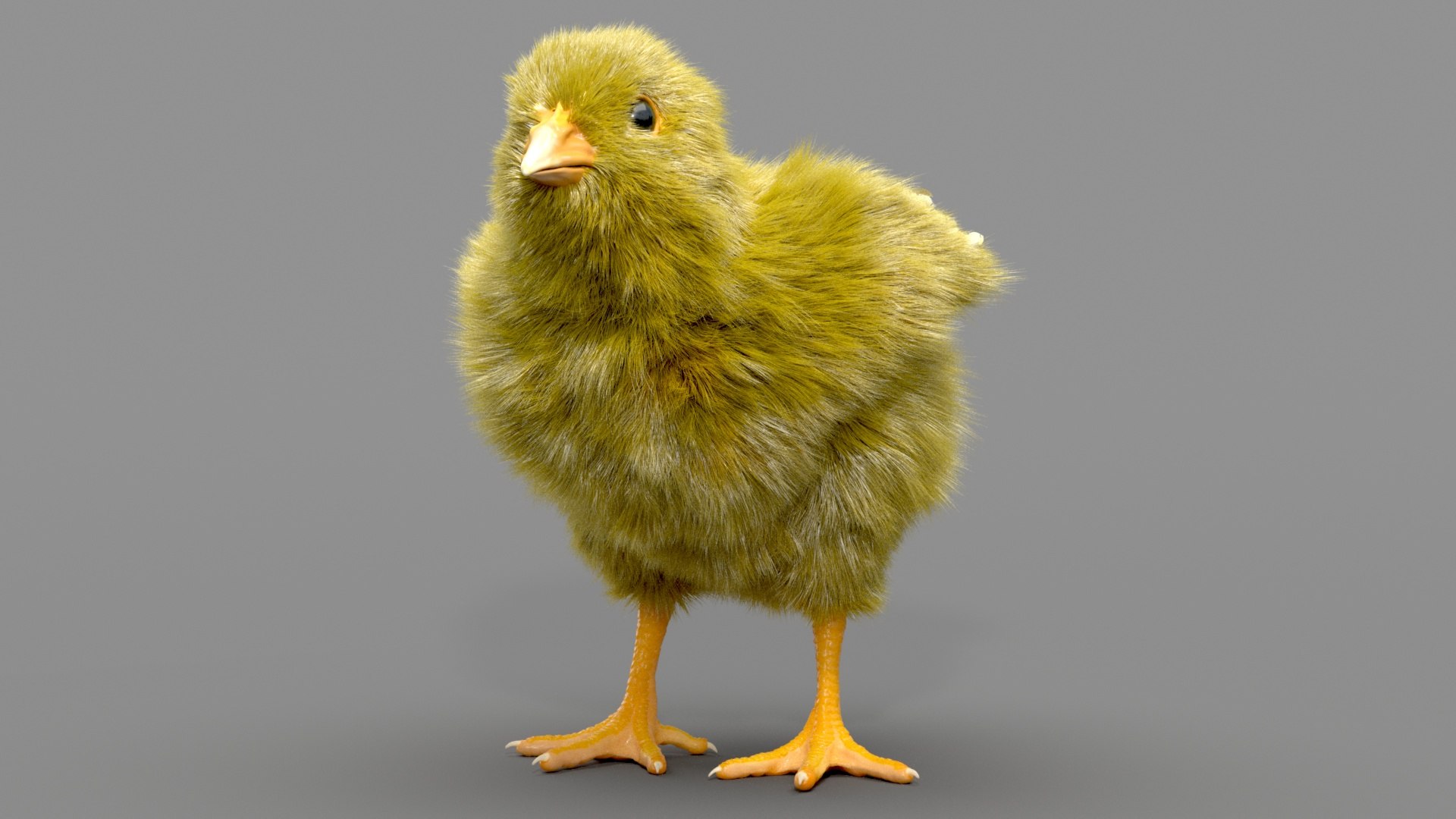 3D chicken realistic hair model https://p.turbosquid.com/ts-thumb/eX/4soXZI/OYYc2dhQ/c_0001/jpg/1585722760/1920x1080/fit_q87/4fbc11ab992941b6e8e246ea9d4dd765ff64931c/c_0001.jpg