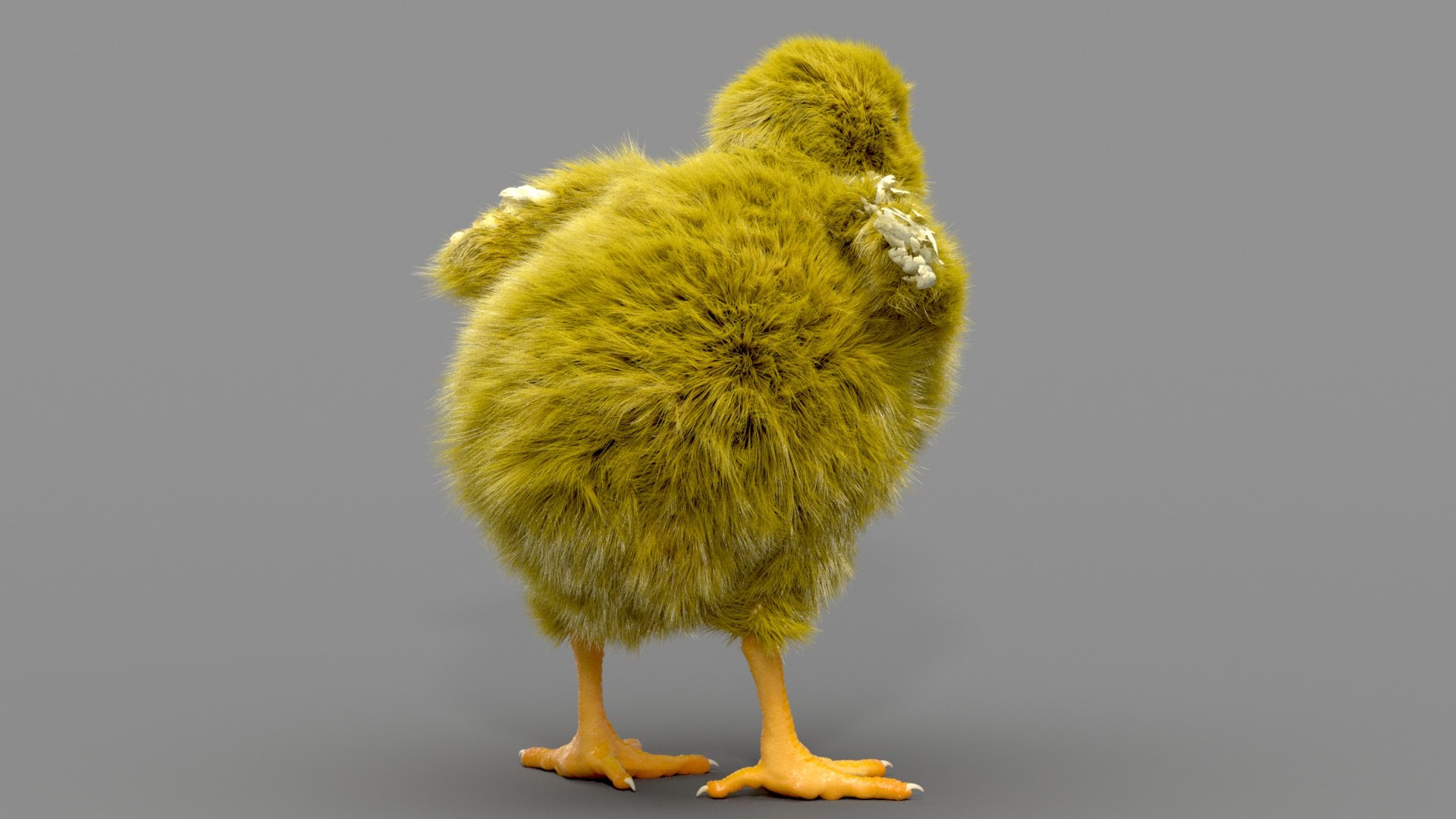 3D chicken realistic hair model https://p.turbosquid.com/ts-thumb/eX/4soXZI/SL33fJbP/04/jpg/1585493440/1920x1080/fit_q87/352982b57e1eda0992c7d8a2c27e728870d4a6cd/04.jpg