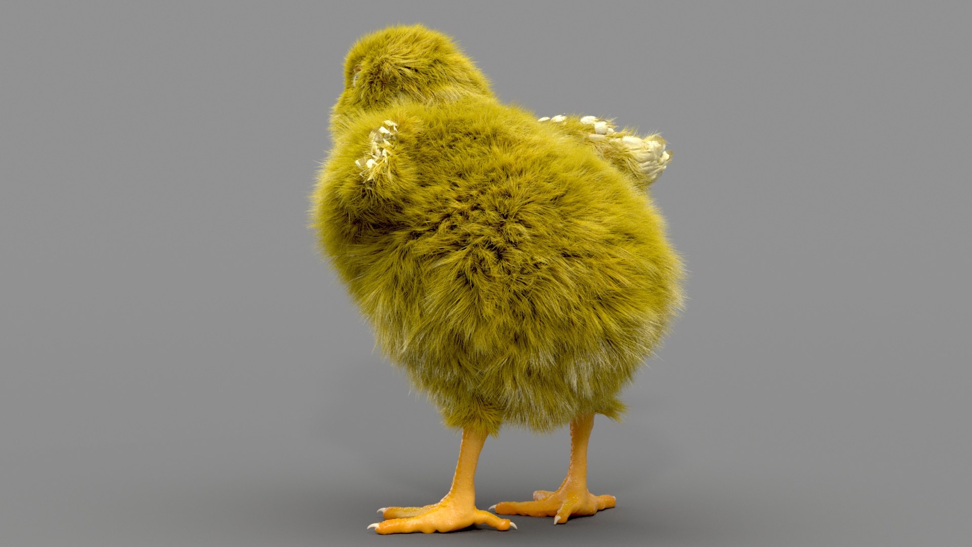 3D chicken realistic hair model https://p.turbosquid.com/ts-thumb/eX/4soXZI/SoKsKT4o/03/jpg/1585492361/1920x1080/fit_q87/18886d4eaec8d9d96aa111d3133a606a6de53a3c/03.jpg