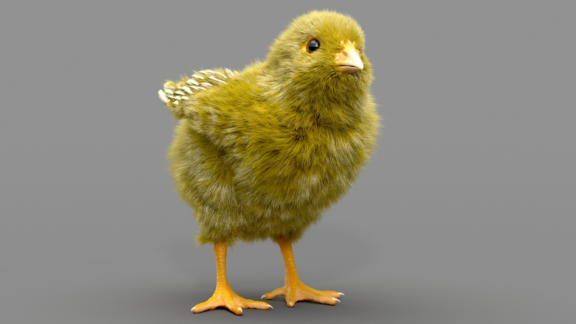 3D chicken realistic hair model https://p.turbosquid.com/ts-thumb/eX/4soXZI/VYE9Rza8/c_0005/jpg/1585722760/1920x1080/fit_q87/a5fe7beee5a1512317bd5b6e6191749e3aa8d5d5/c_0005.jpg