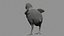 Poulet