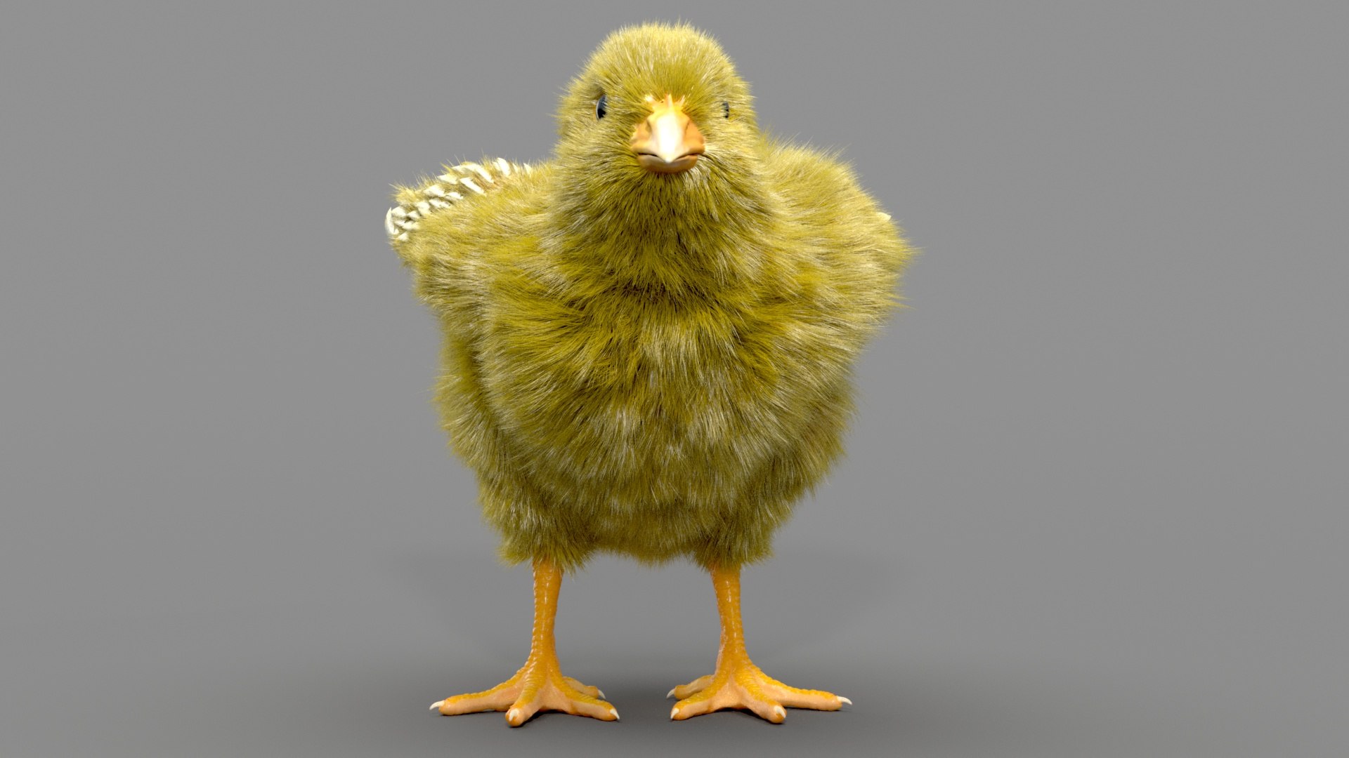 3D chicken realistic hair model https://p.turbosquid.com/ts-thumb/eX/4soXZI/qquE3wFh/c_0003/jpg/1585722760/1920x1080/fit_q87/dba068181ff4d976078027cecaaeefdb04fcf73d/c_0003.jpg