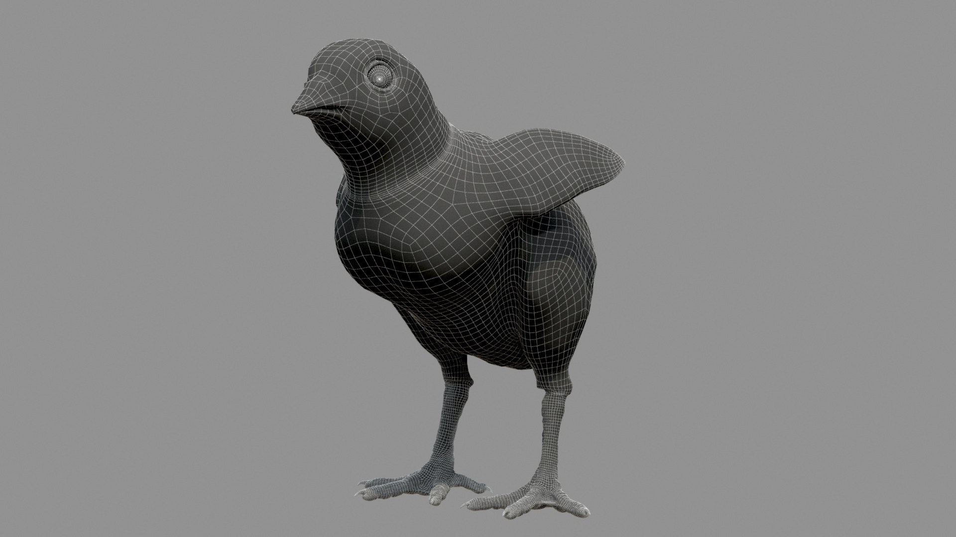 3D chicken realistic hair model https://p.turbosquid.com/ts-thumb/eX/4soXZI/rsPWJuZF/w1/jpg/1585486933/1920x1080/fit_q87/ce4fb360a191cd1788bcd2ce440bf6270491ed1b/w1.jpg