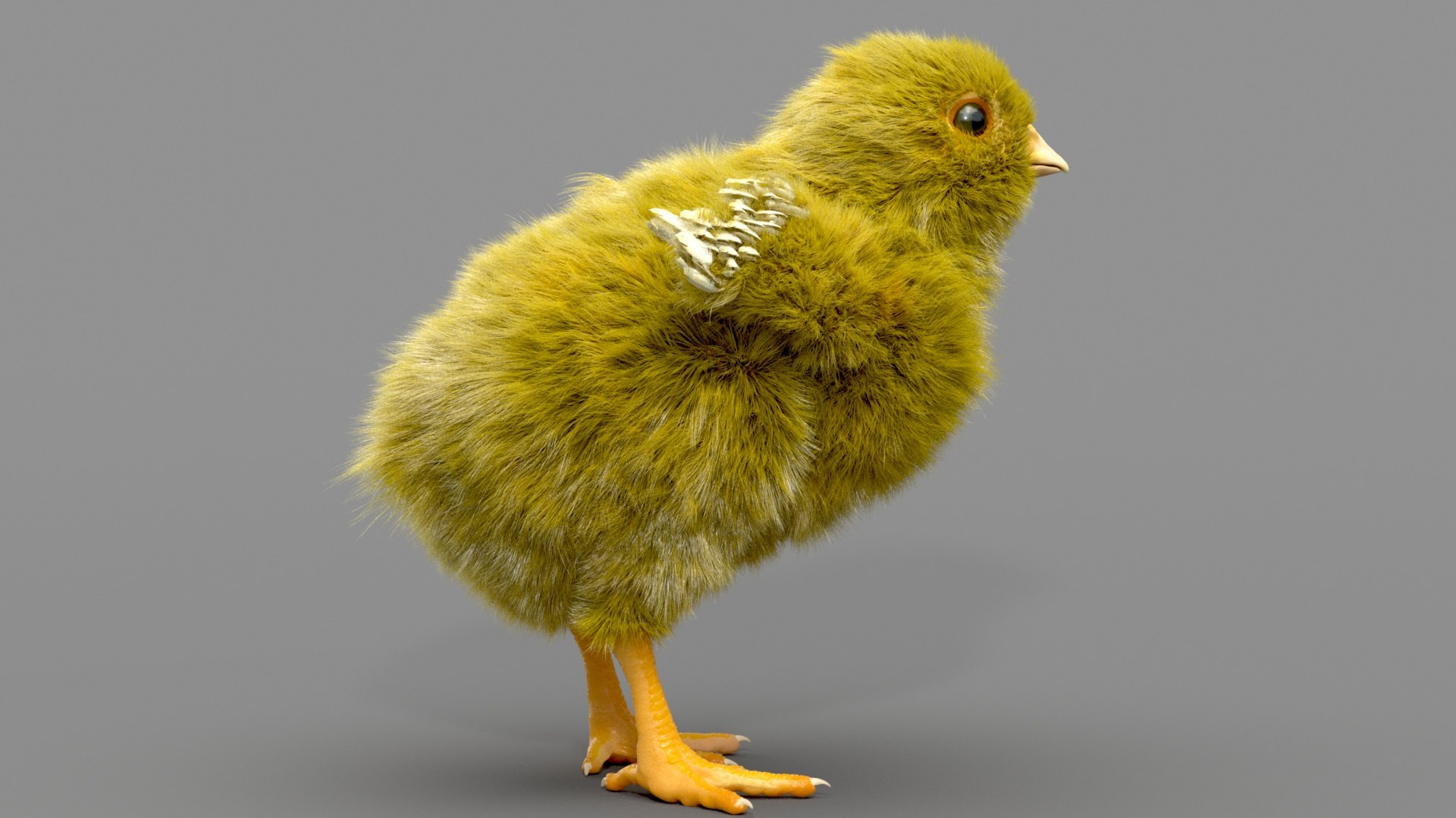 3D chicken realistic hair model https://p.turbosquid.com/ts-thumb/eX/4soXZI/u1hqFfjN/c_0010/jpg/1585722760/1920x1080/fit_q87/d328037fb4cd5bde44dfcb52bf8170dd7668a046/c_0010.jpg