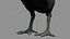 Poulet