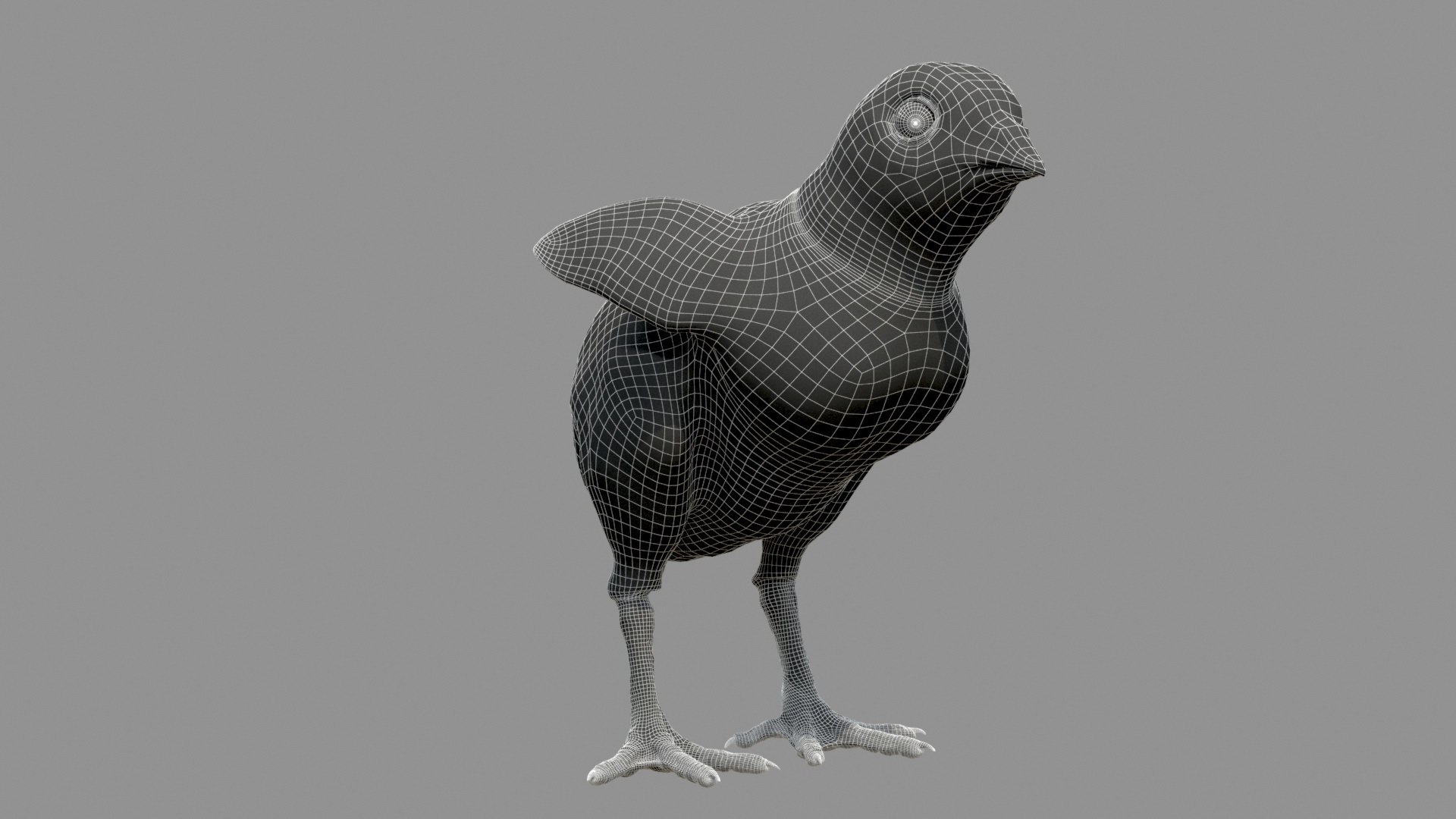 3D chicken realistic hair model https://p.turbosquid.com/ts-thumb/eX/4soXZI/y7vA4K10/w4/jpg/1585486937/1920x1080/fit_q87/7e7e30a3edd54e53245d0a4362e09d3e33998a55/w4.jpg