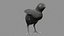 Poulet