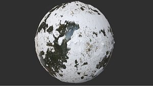 Snow Covered Swamp Forest Ground Pbr 4k Textures