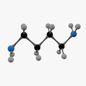 3D Putrescine Molecule