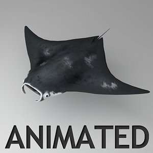 rigged manta animation 3d max