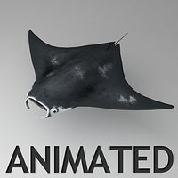 Manta ray animated