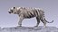 White Tiger RIGGED 3D model