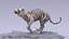 White Tiger RIGGED 3D model