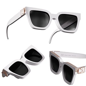 3D model Sunglasses